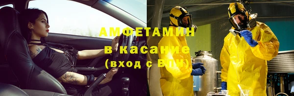 сатива Наволоки