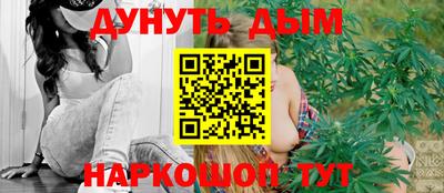 тгк Гай