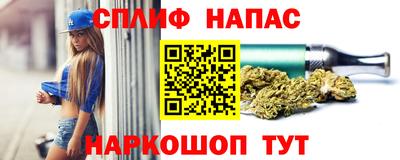 тгк Гай