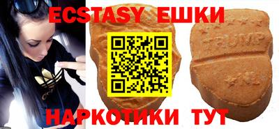 тгк Гай