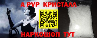 спиды Гагарин