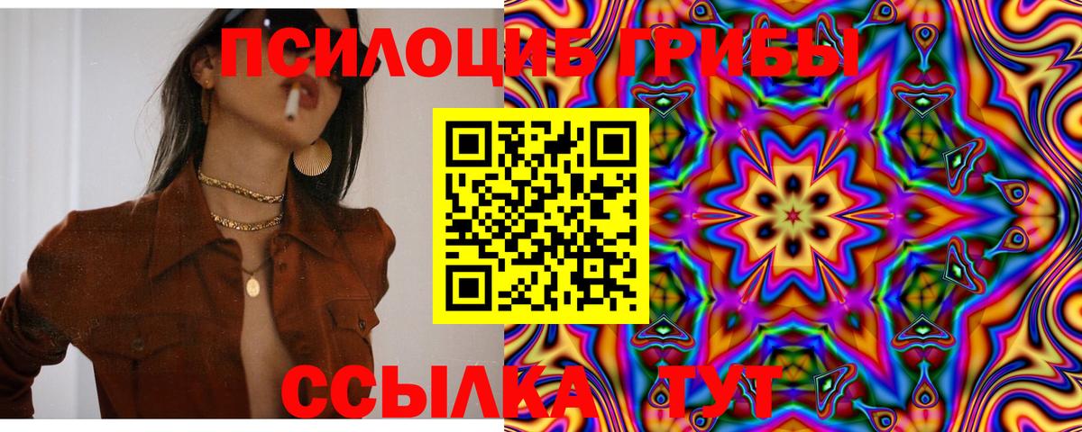 Галлюциногенные грибы Cubensis Гурьевск