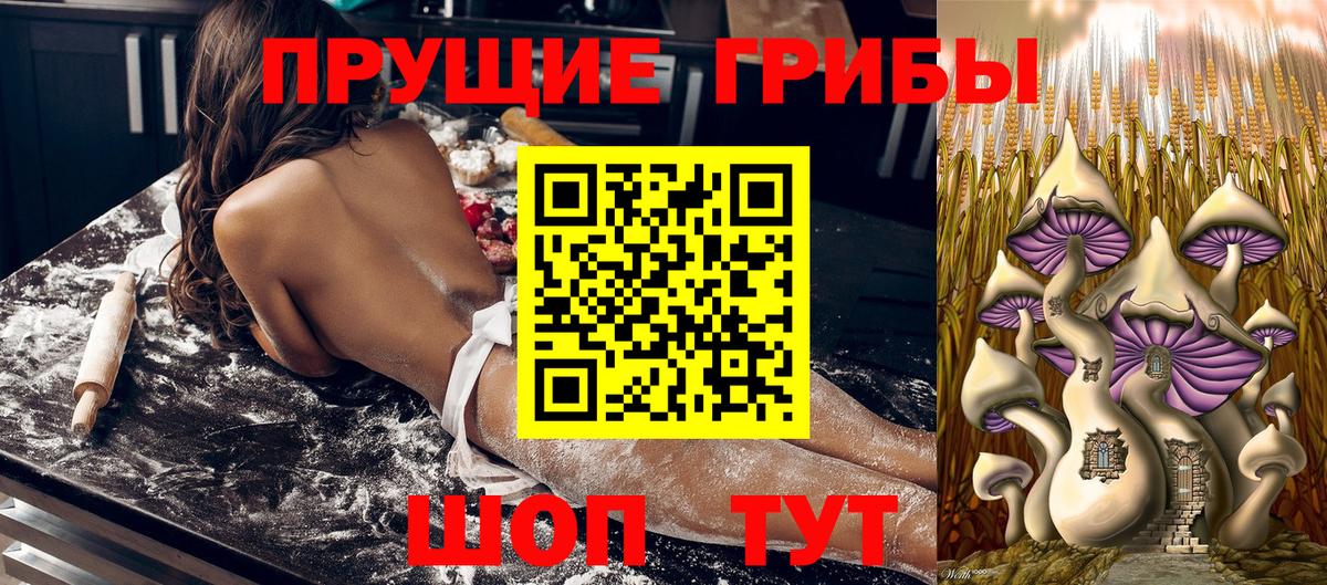 Псилоцибиновые грибы MAGIC MUSHROOMS  Галлюциногенные грибы MAGIC MUSHROOMS  Гурьевск  Вход с VPN 