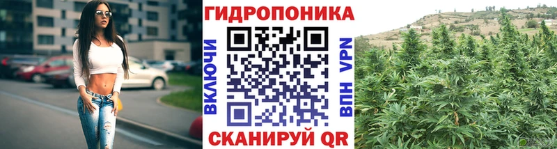 Бошки Шишки Ganja  купить  цена  Гурьевск 